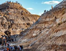 RayBet-关于Ming连续十场比赛得分超过惊险取胜，塞尔维亚队挑战极限！的信息